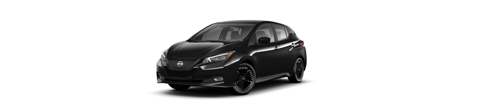 2025 Nissan Leaf Banner