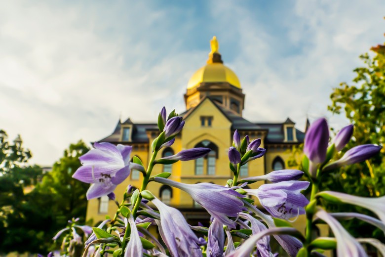 Notre Dame South Bend
