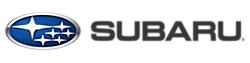 Logo Icon