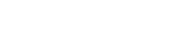 Logo Icon