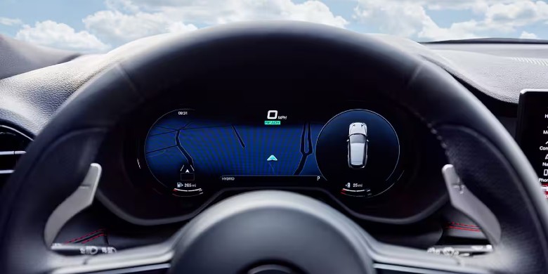 Dodge Hornet Cluster