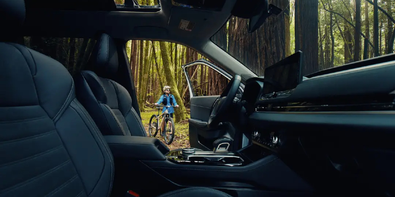 Outlander Trail Edition Interior Cabin