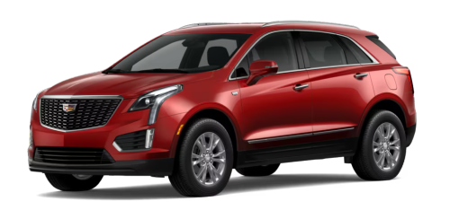 Radiant Red Tintcoat