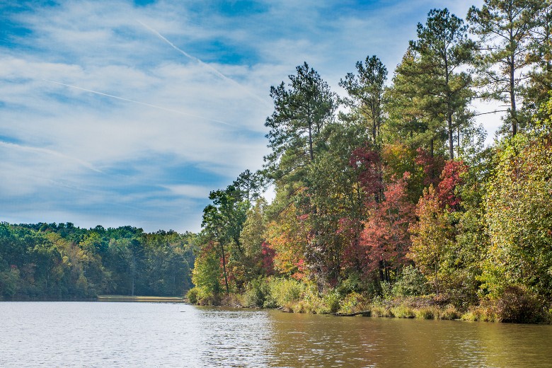 Fall view at Long Lake in Douglasville, GA
