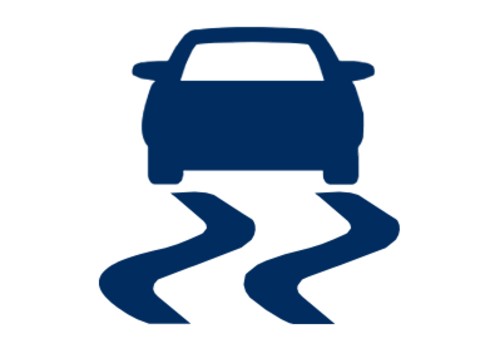 Traction Control Light