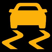Traction control light