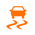 Traction Control Warning Light