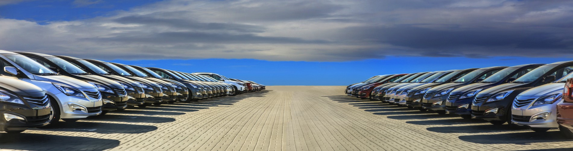 Different Ford vehicles lined up in Santa Fe, NM